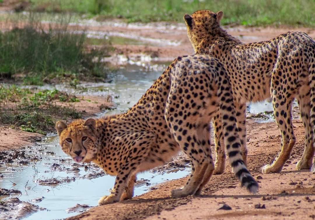 FB_IMG_1703006597074