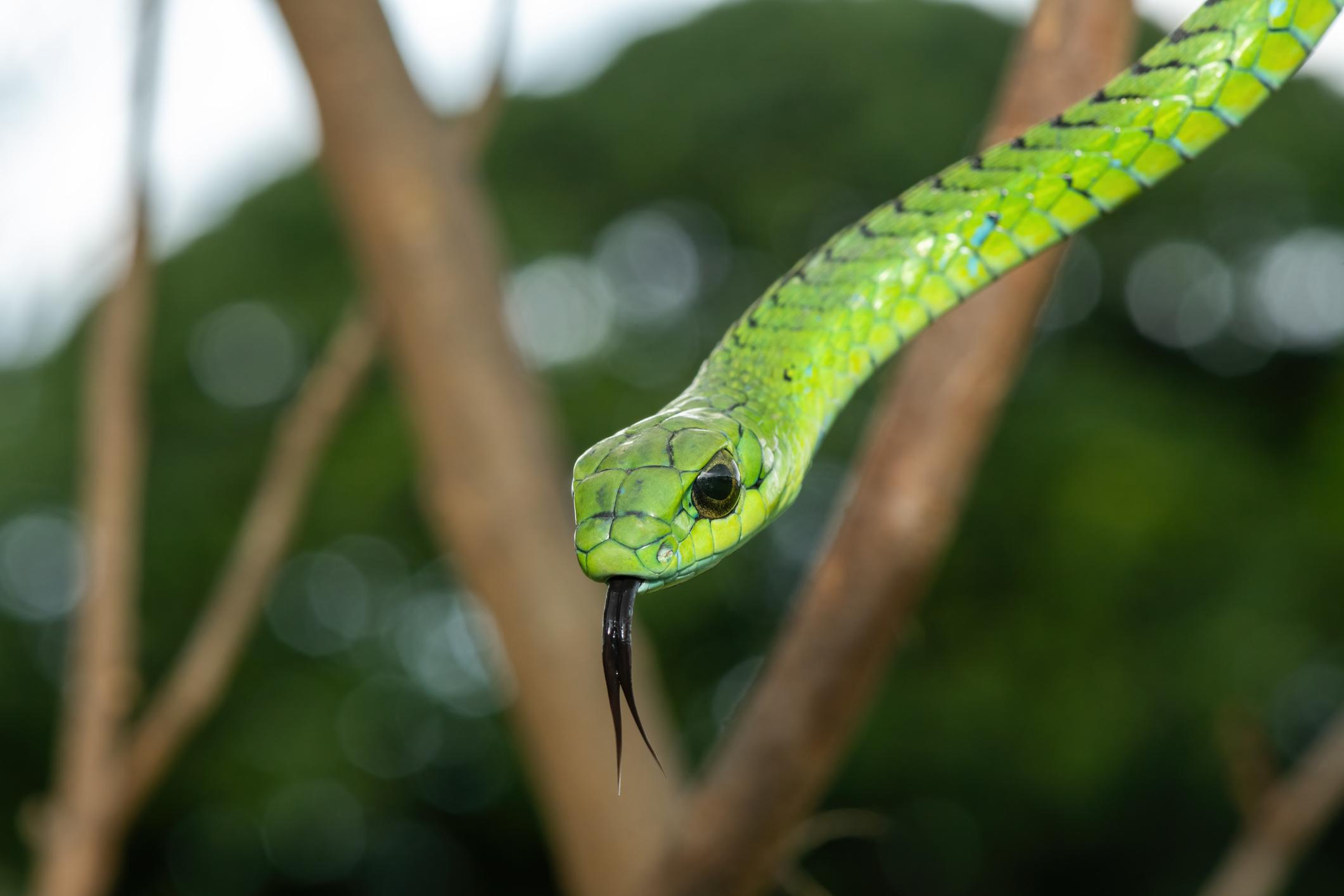 -8EHV5dW1PrGhYRCMPgabL5A2tOMJo_z4yfz7b9IfGKtQL9_15PstDYBTSTJ18iwJ1revm4Fes364vvaGdXypJepCltUpYsrD_CR28y6vJo