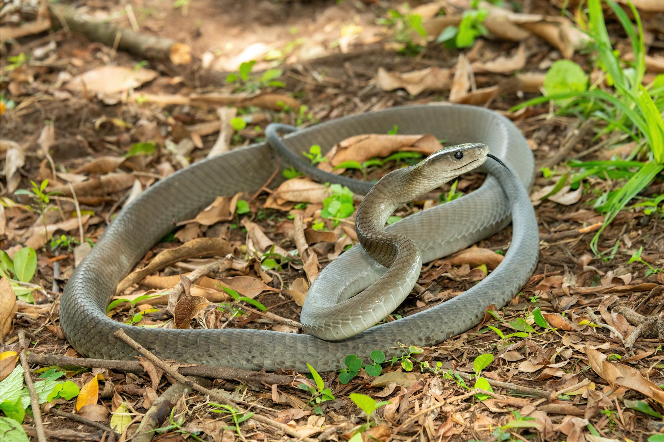 ZIjSGBZyC1nx_XIE_2N3SpGN2cZPWeztjwXXW0nNVhAcDsFQgSRVd7e2nR4BWCbW85H-oKTBYqHNYogcB_ityz4YQpN3TDKWNXFeETtwirU